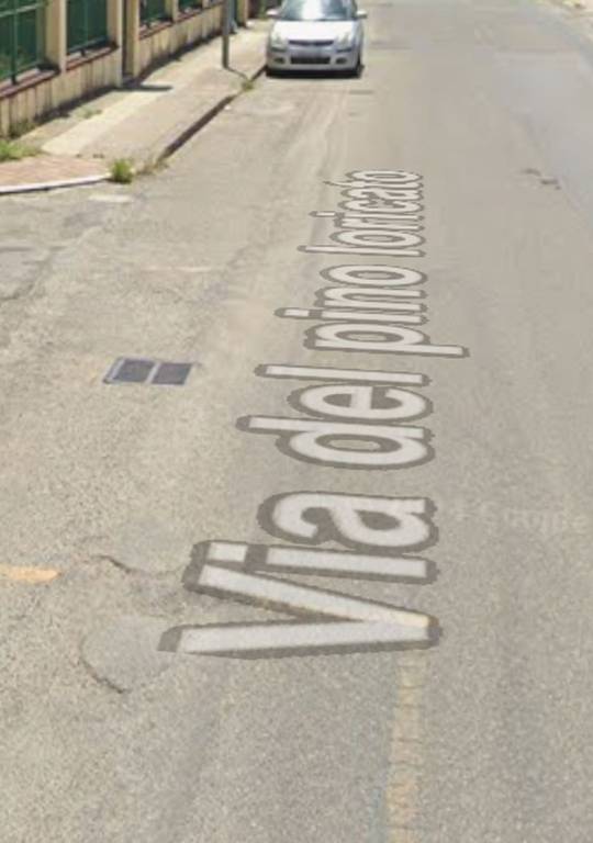 immagine annuncio 10 di 14