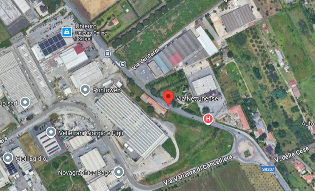 immagine annuncio 6 di 12