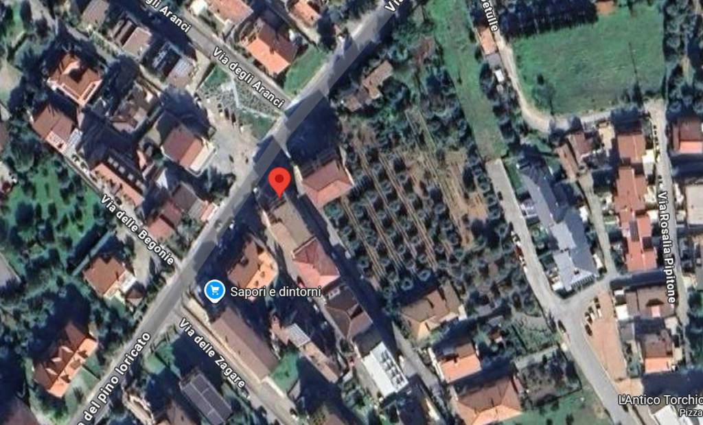 immagine annuncio 3 di 13