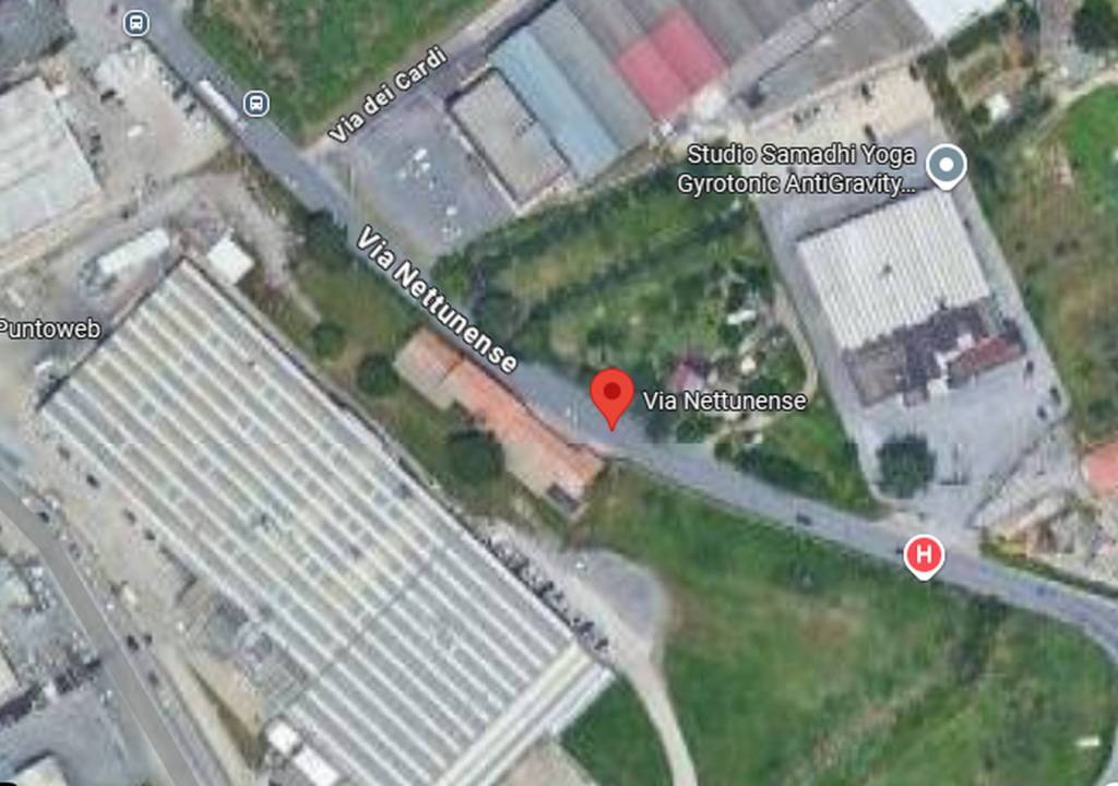 immagine annuncio 12 di 15