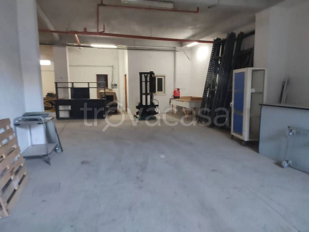 immagine annuncio 6 di 11