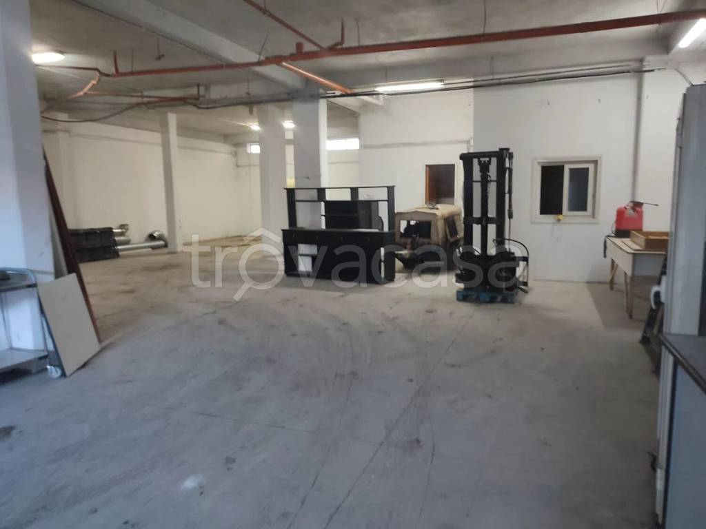 immagine annuncio 7 di 11