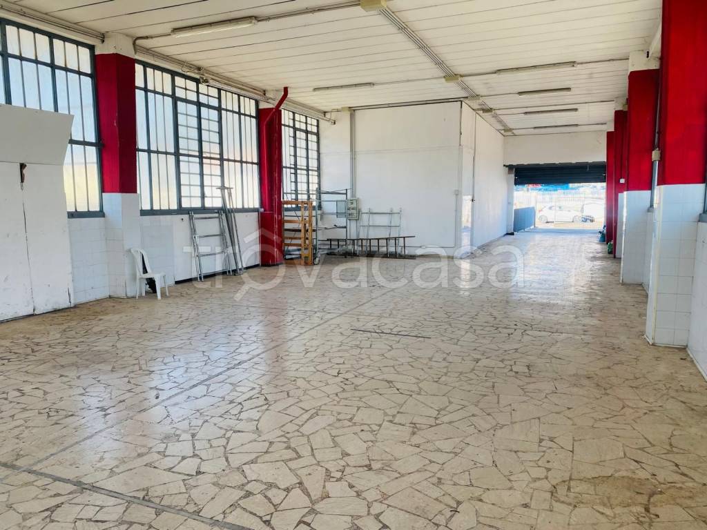 immagine annuncio 2 di 15