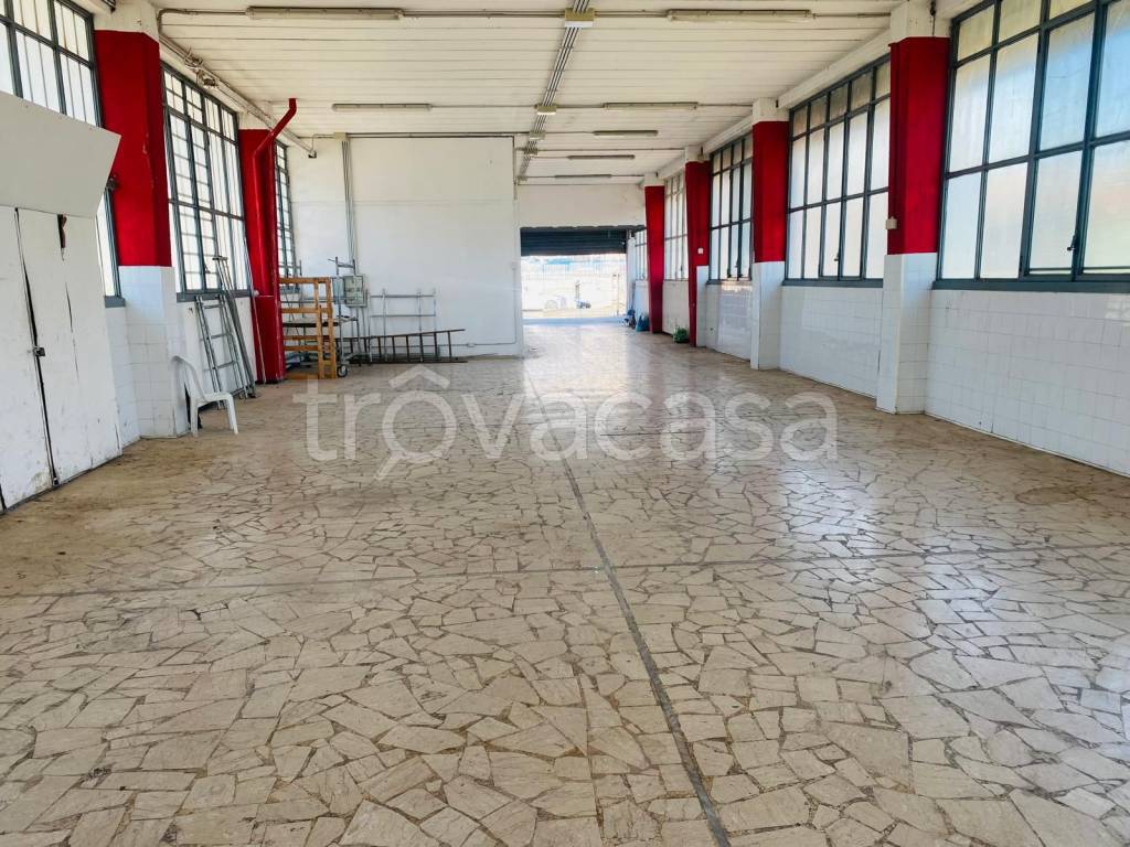 immagine annuncio 10 di 15