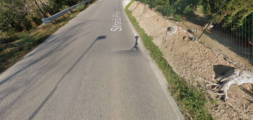 immagine annuncio 11 di 15