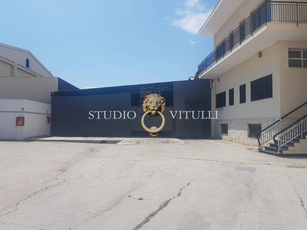 immagine annuncio 2 di 4