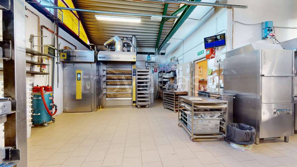 immagine annuncio 9 di 15