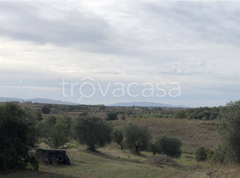 immagine annuncio 4 di 7