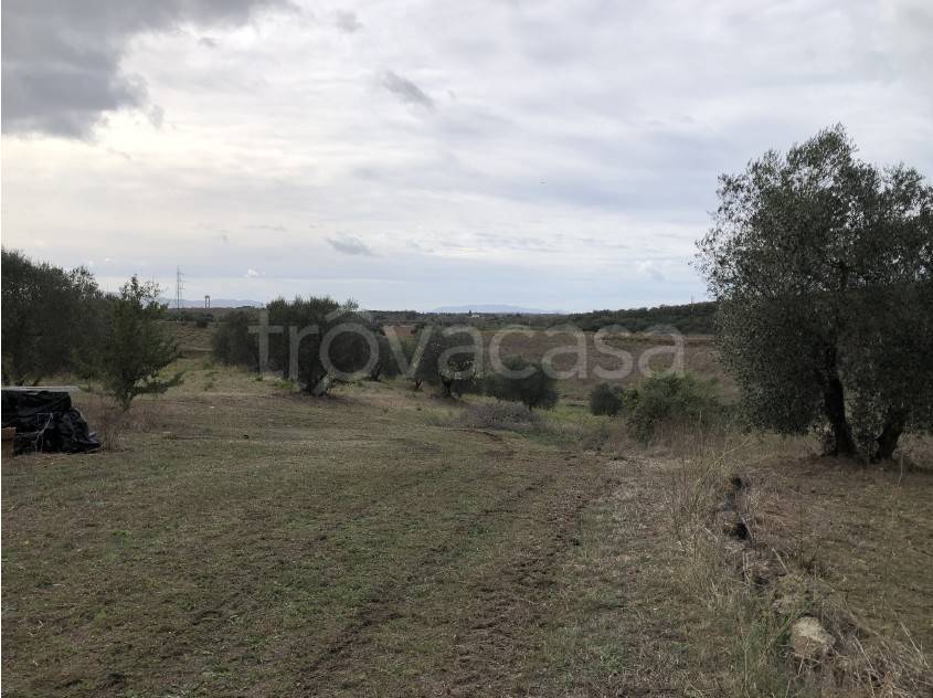 immagine annuncio 5 di 7