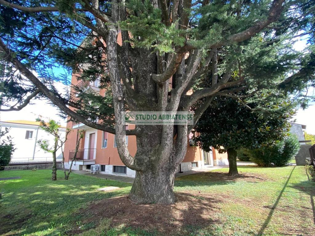 immagine annuncio 8 di 12