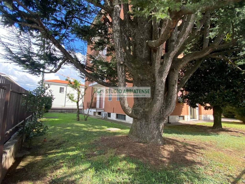 immagine annuncio 10 di 12