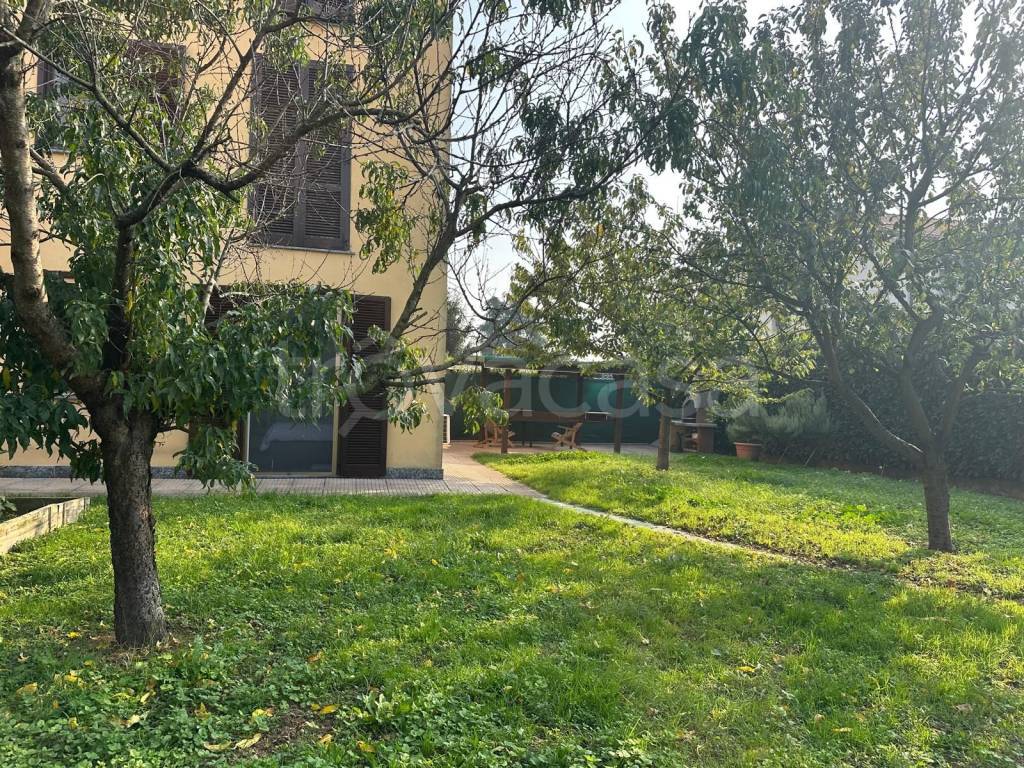 immagine annuncio 5 di 15