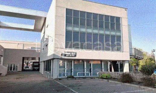 immagine annuncio 9 di 14