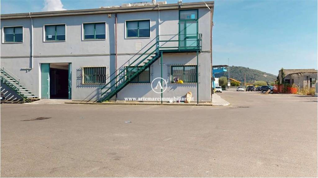 immagine annuncio 9 di 13