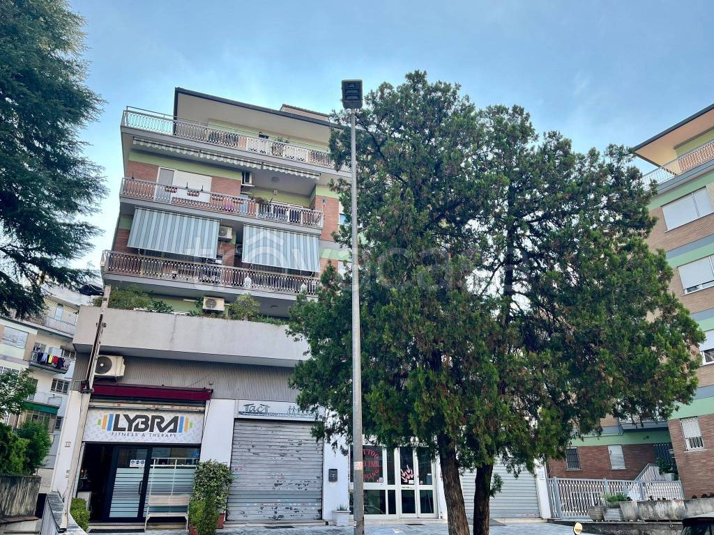 immagine annuncio 4 di 13