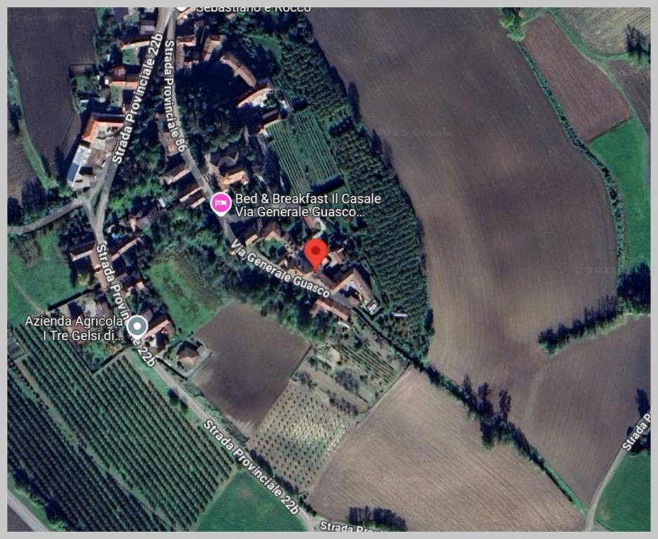 immagine annuncio 12 di 15