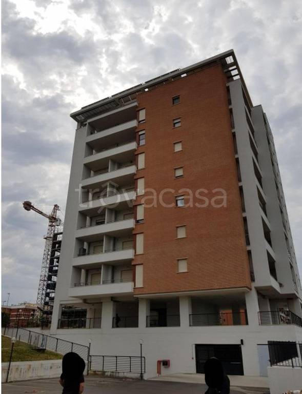 immagine annuncio 4 di 11