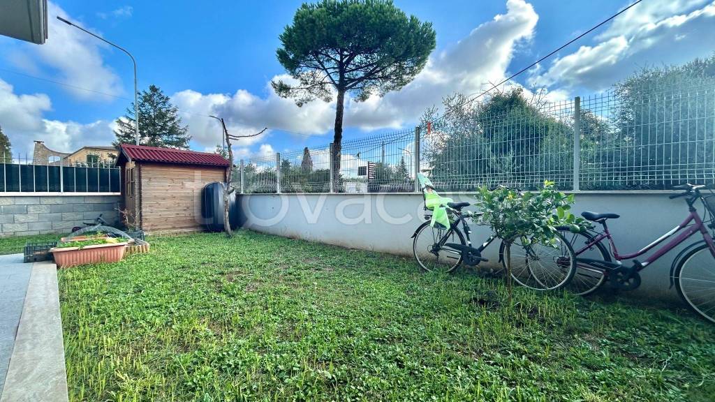 immagine annuncio 9 di 15