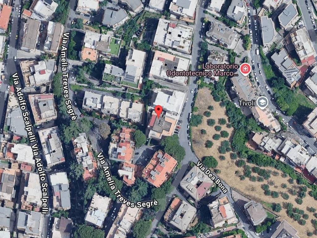 immagine annuncio 11 di 13