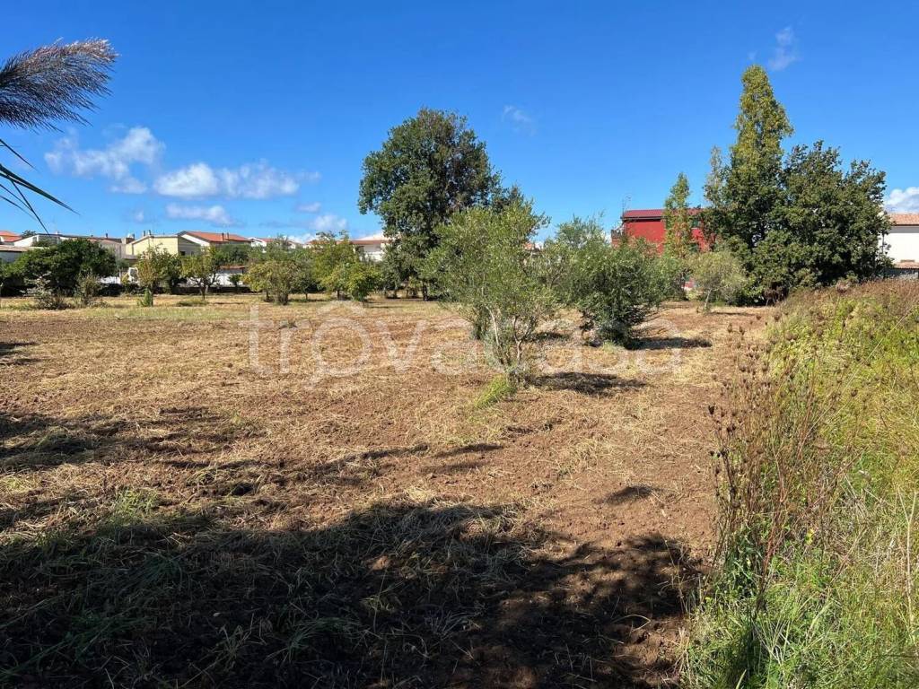 immagine annuncio 1 di 9