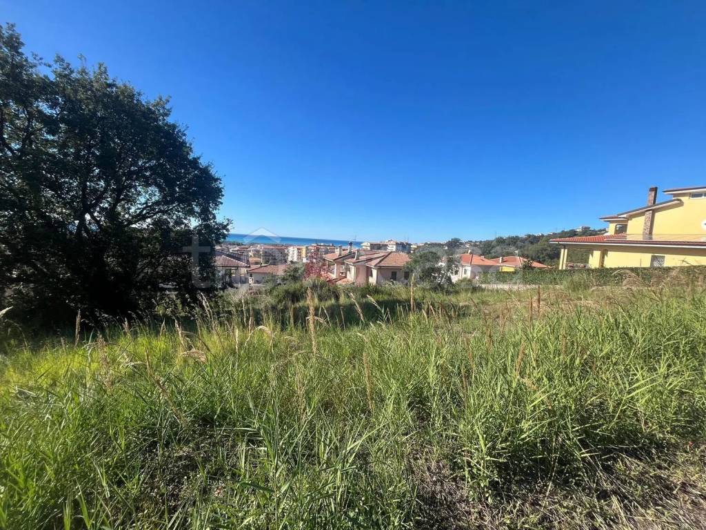 immagine annuncio 3 di 7