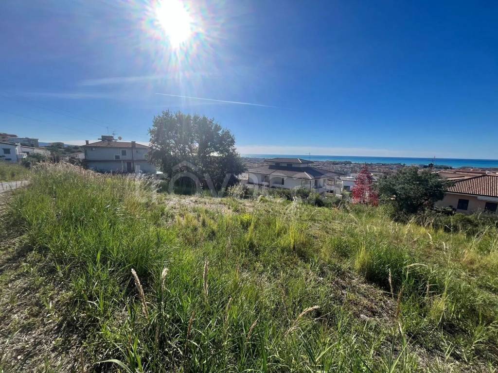 immagine annuncio 5 di 7