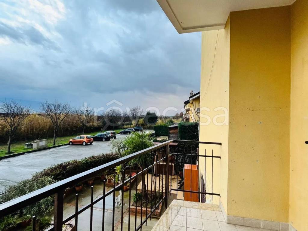 immagine annuncio 6 di 14