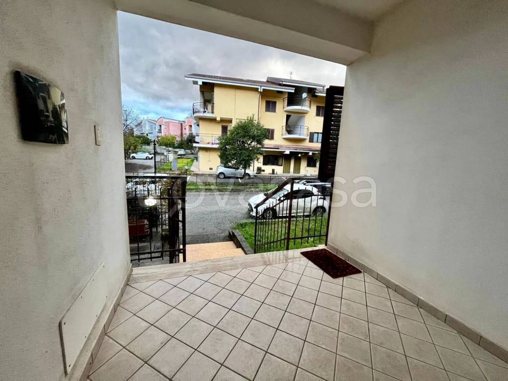 immagine annuncio 9 di 14