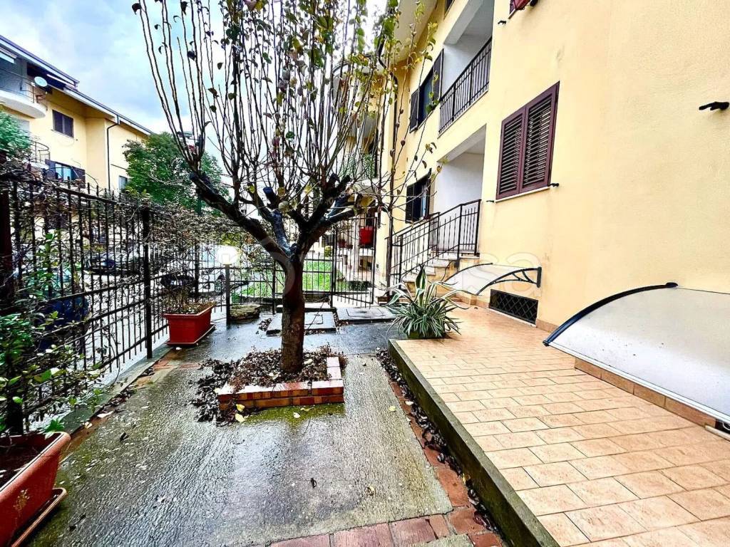 immagine annuncio 10 di 14