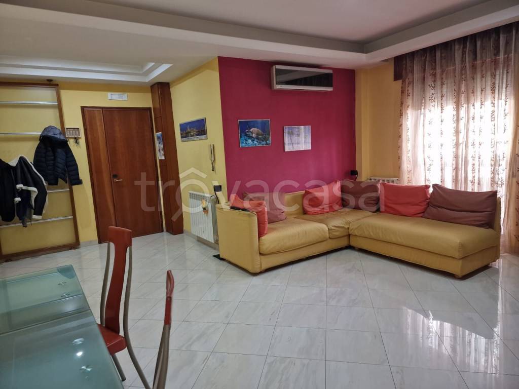 immagine annuncio 1 di 6