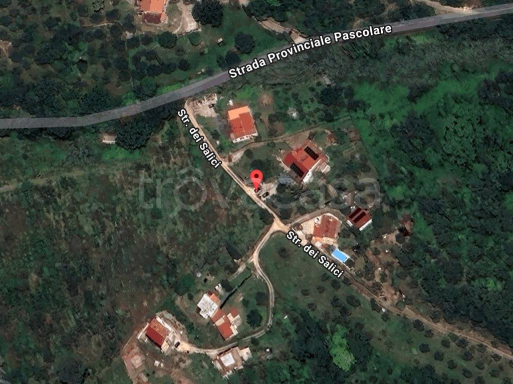 immagine annuncio 11 di 13