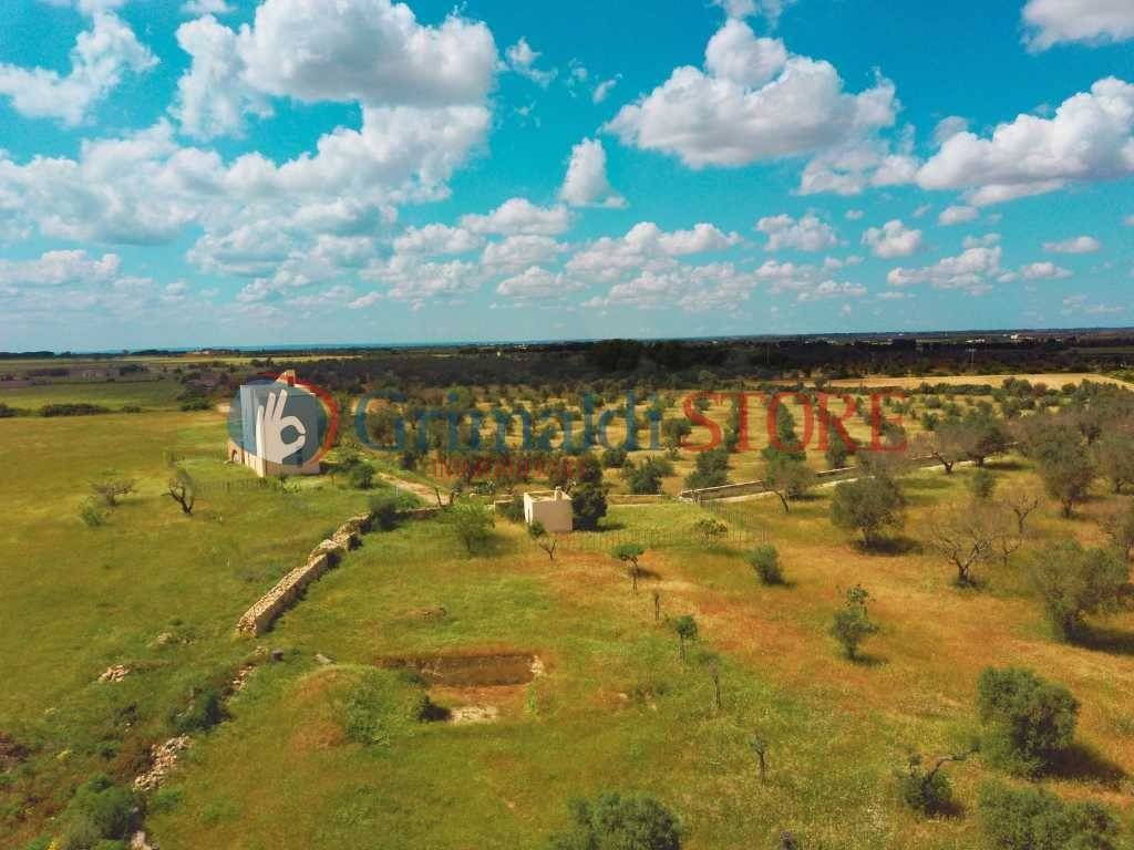 immagine annuncio 6 di 13