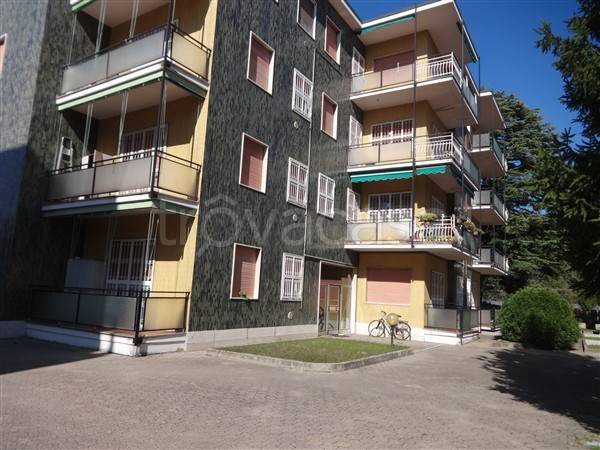 immagine annuncio 14 di 15