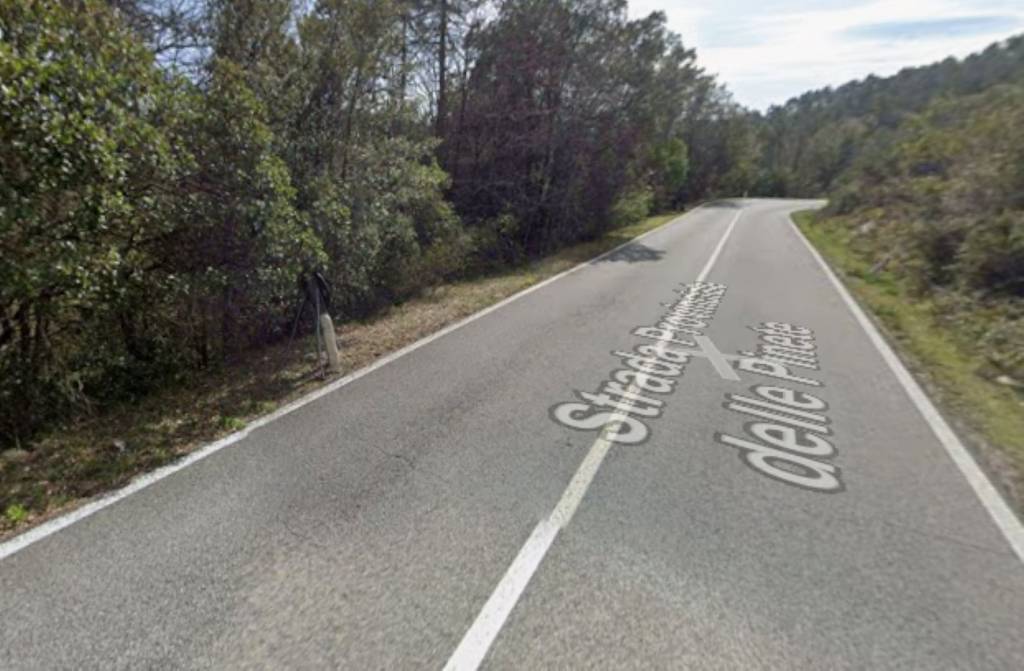 immagine annuncio 2 di 10