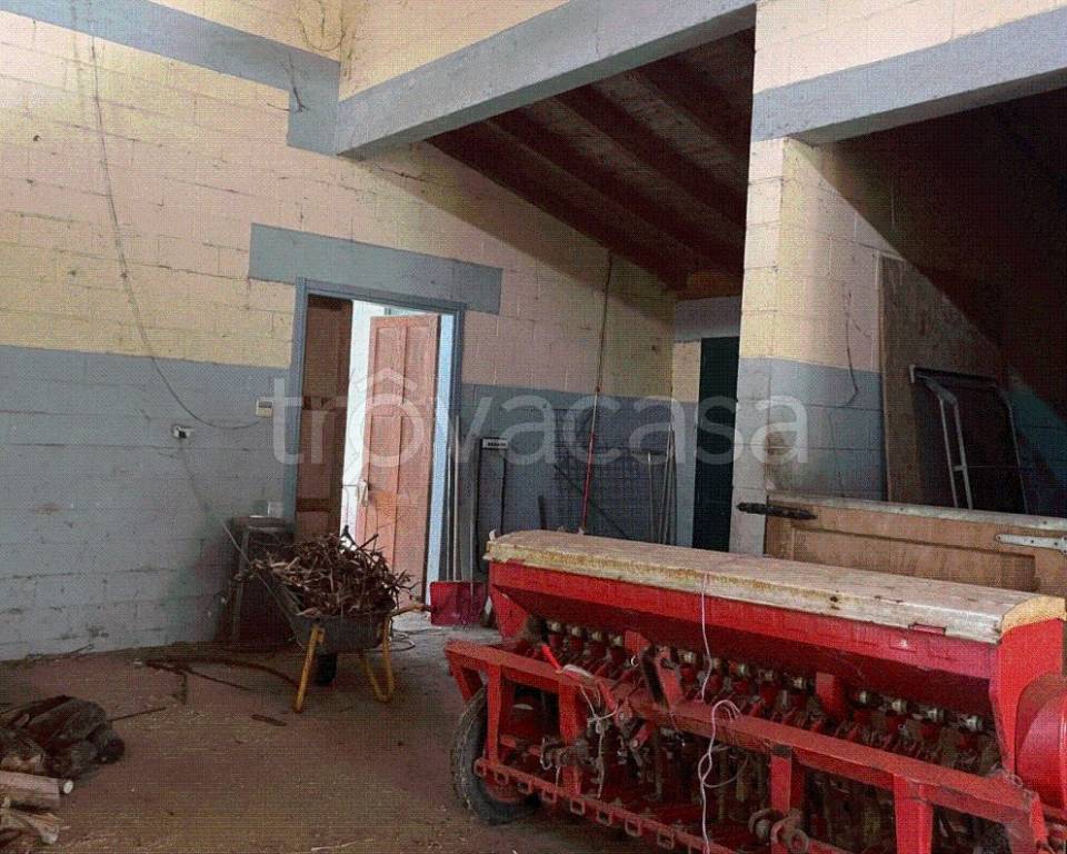 immagine annuncio 3 di 13