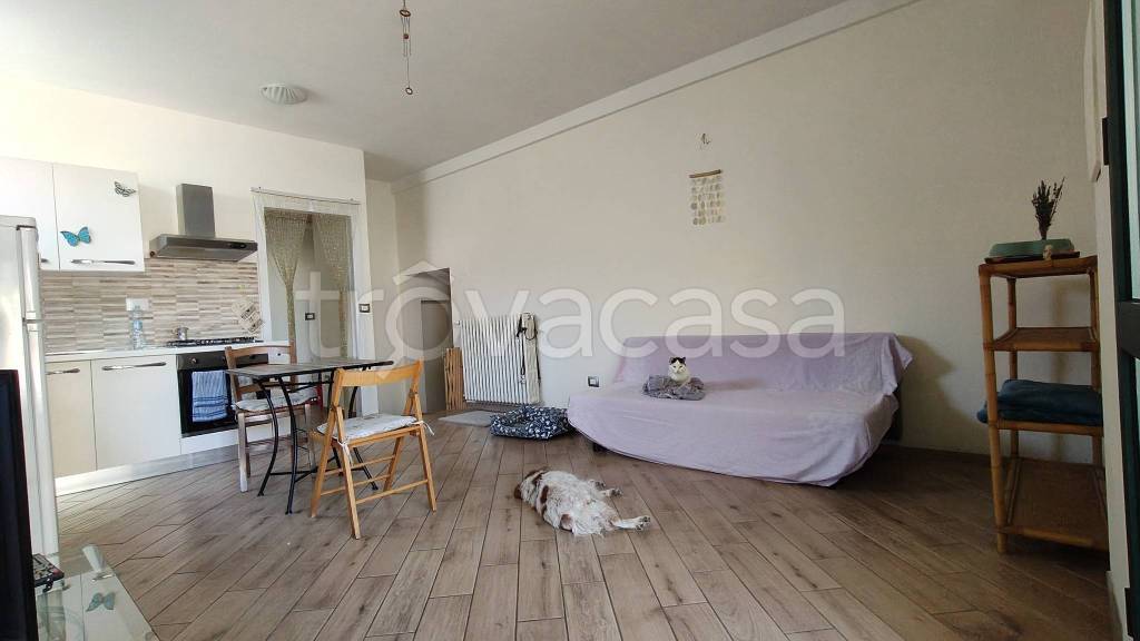 immagine annuncio 3 di 11