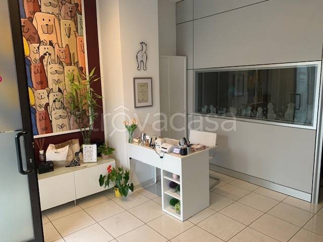 immagine annuncio 1 di 9