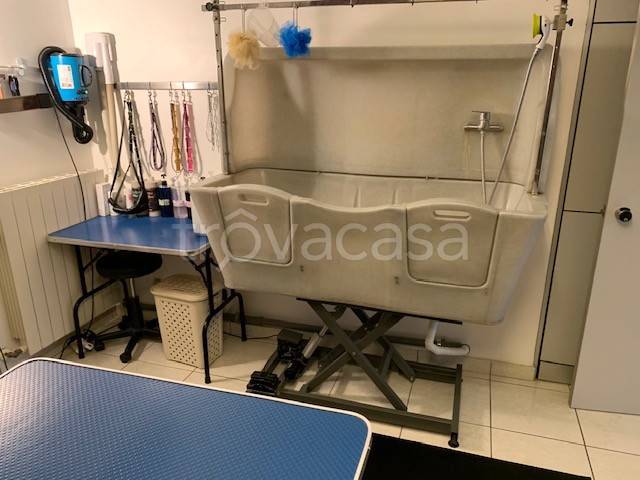 immagine annuncio 5 di 9