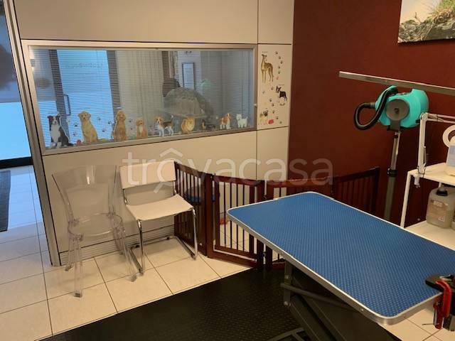 immagine annuncio 6 di 9