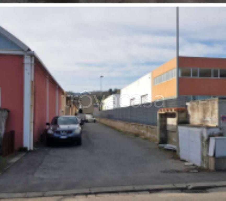 immagine annuncio 5 di 11