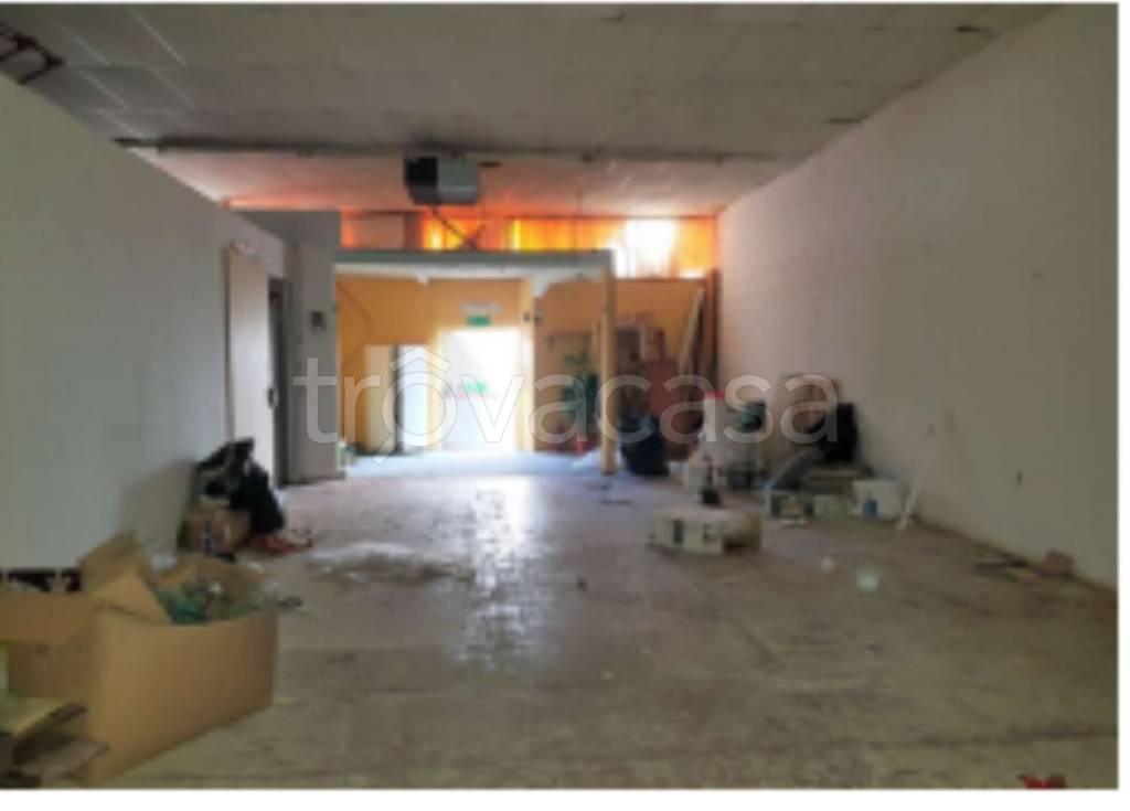 immagine annuncio 9 di 11