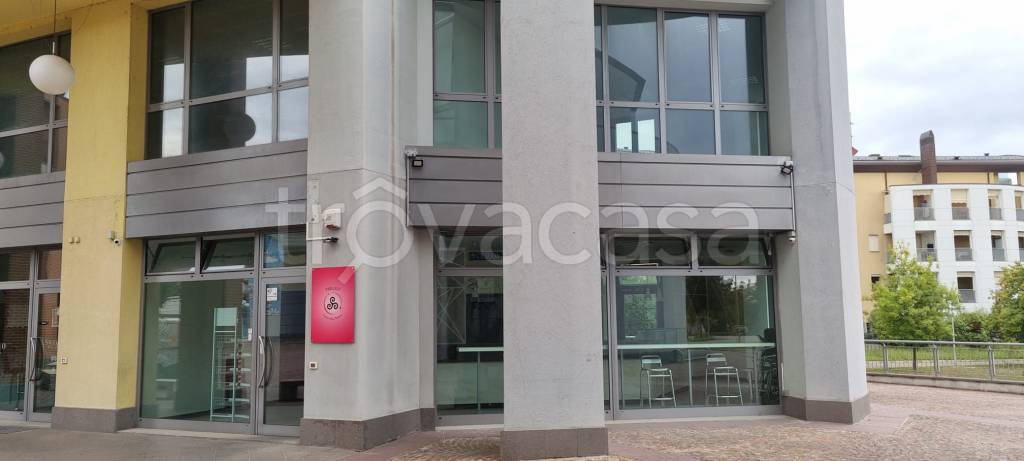 immagine annuncio 1 di 7