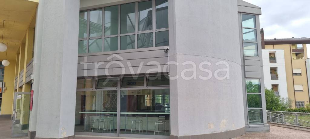 immagine annuncio 2 di 7