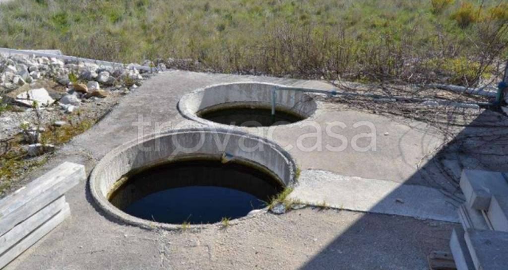 immagine annuncio 6 di 11