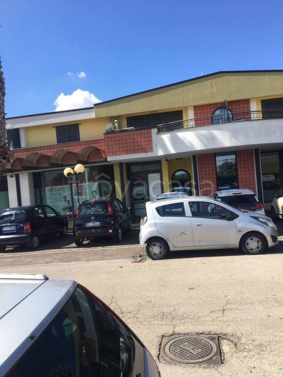 immagine annuncio 2 di 7