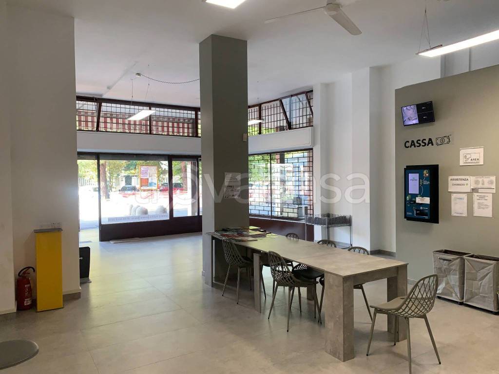 immagine annuncio 9 di 13