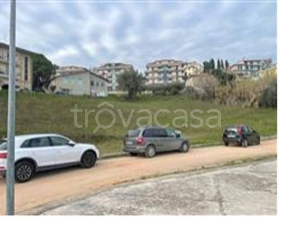 immagine annuncio 2 di 11