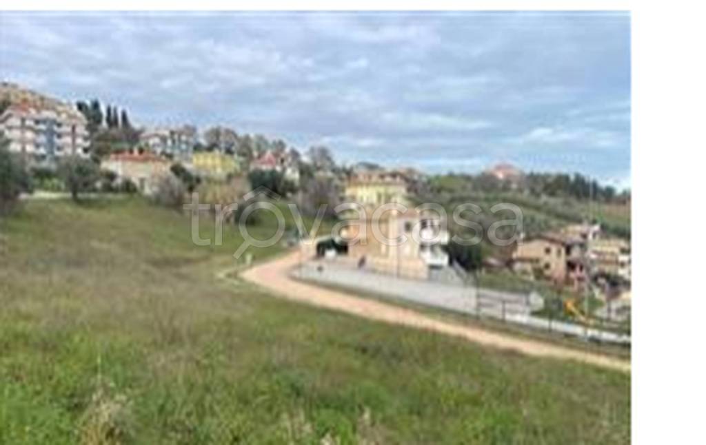 immagine annuncio 10 di 11