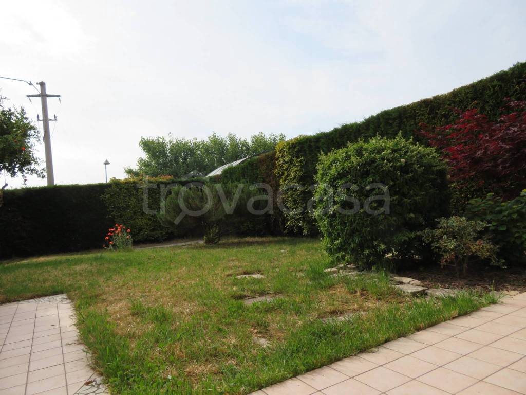 immagine annuncio 5 di 7