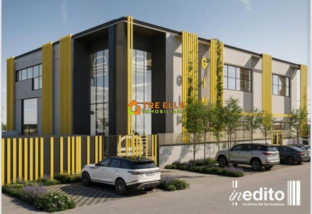 immagine annuncio 4 di 6